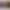 LG OLED™ evo AI 4K Smart TV 65”
